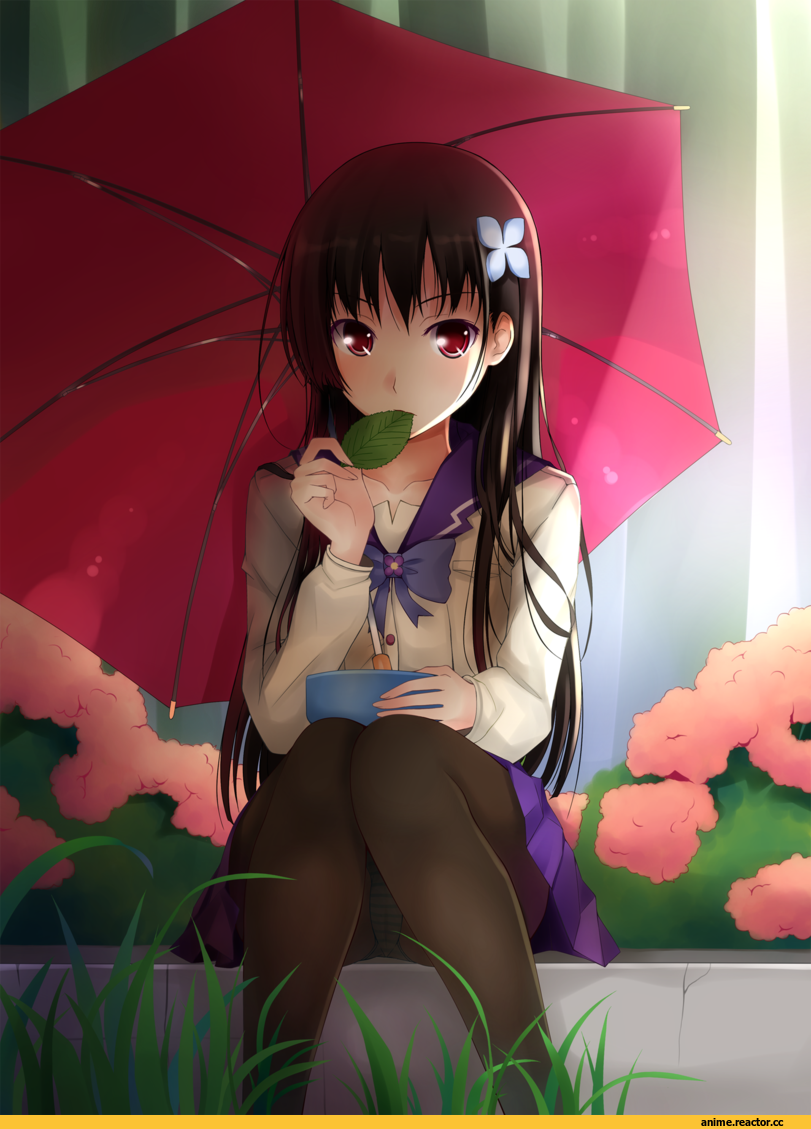 art, красивые картинки, Sankarea, Anime Art, Anime