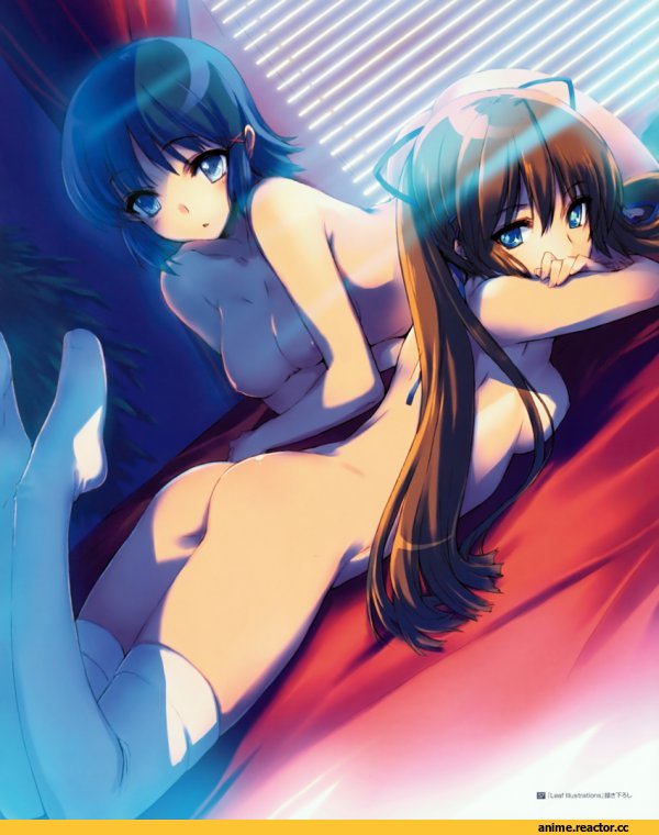 Anime Ero, Anime
