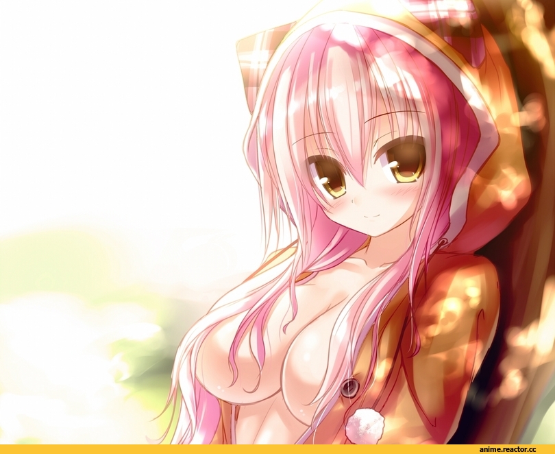 Anime Ero, Anime