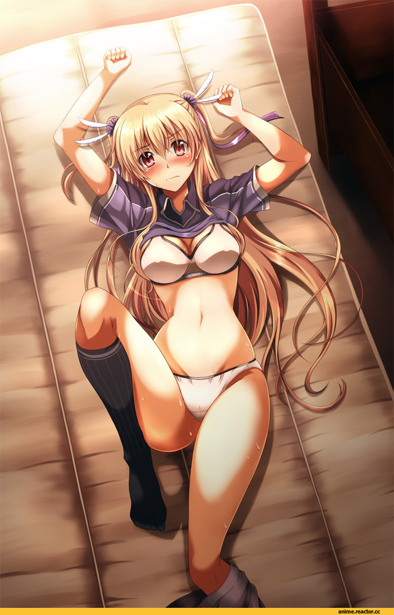 alisa reinford, Anime Ero, eiyuu densetsu, Anime Adult pantsu, Anime