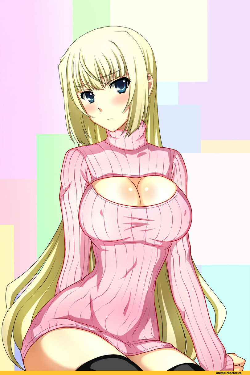 madan no ou to vanadis, limalisha, Open-Chest Sweater, Anime Ero, Anime
