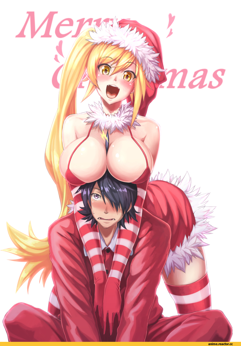 Kissshot Acerolaorion Heartunderblade, Monogatari (Series), Araragi Koyomi, Anime Ero, Anime Christmas, Anime