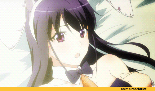 Grisaia No Kajitsu (Anime), sakaki yumiko (anime), anime gif, продолжение в комментариях, Anime Ero, Usagimimi, Animal Ears, Anime