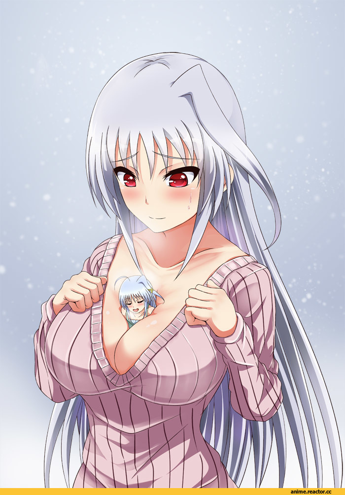 reinforce, lyrical nanoha, Anime Ero, Anime