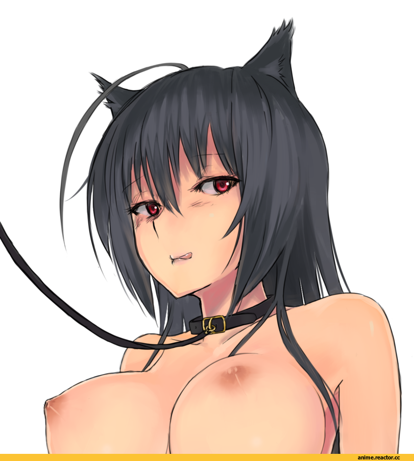 takanashi touka, larloses, Chuunibyou demo koi ga Shitai!, Anime Ero Oppai, Anime Ero, neko, Animal Ears, Adult BDSM, Anime