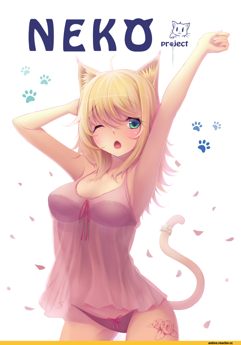 Anime Original, Anime Art, Animal Ears, neko, Anime Ero, Adult pantsu, sonikey0 0, Anime