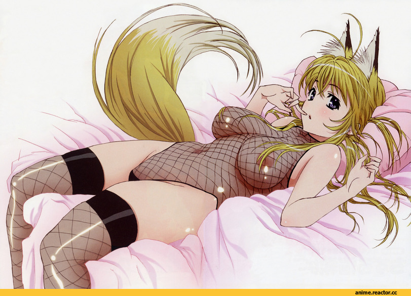 minamoto chizuru, kanokon, takami akio, Anime Ero, Kitsune, Animal Ears, Anime