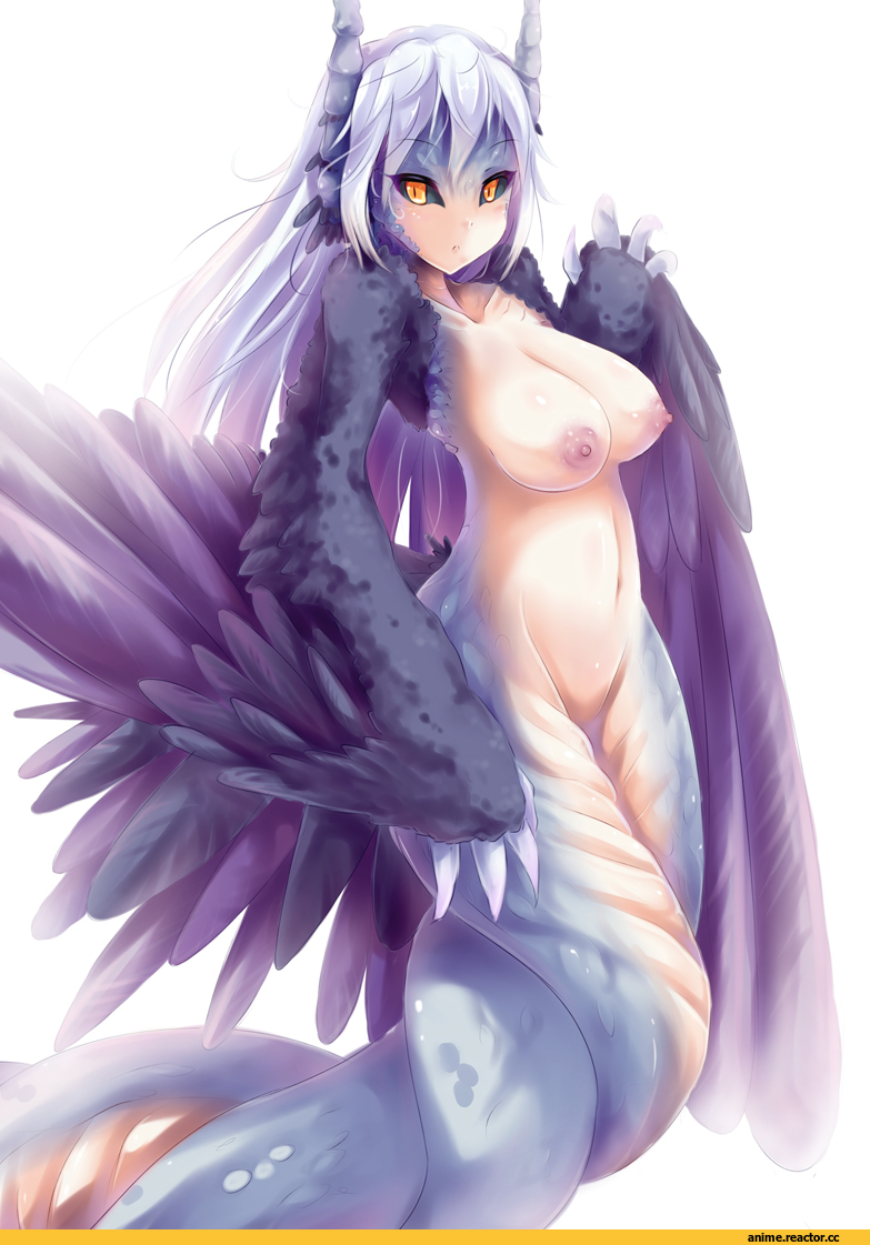Anime Original, Anime Art, Monster Girl (Anime), Anime Ero, Anime Ero Oppai, Anime