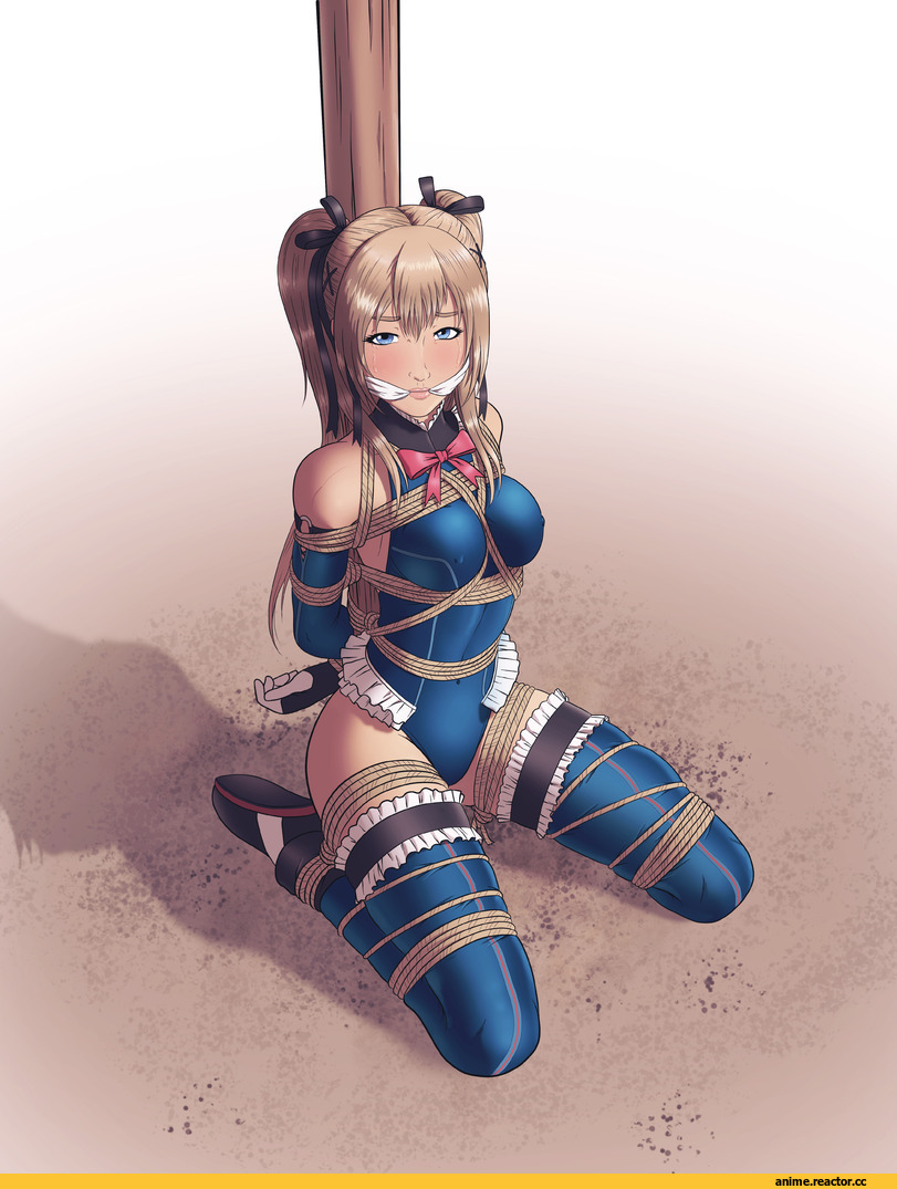 Adult BDSM, Anime Ero, Dead or Alive 5, Marie Rose, Anime