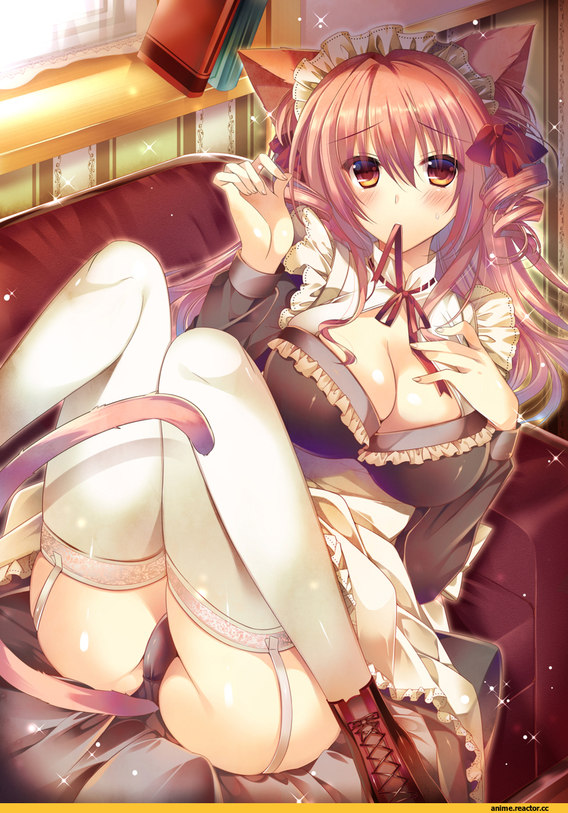 Anime Ero, hanpen (hannpenn2), Anime Ero Pantsu, Неко, Animal Ears, Anime Art, Anime