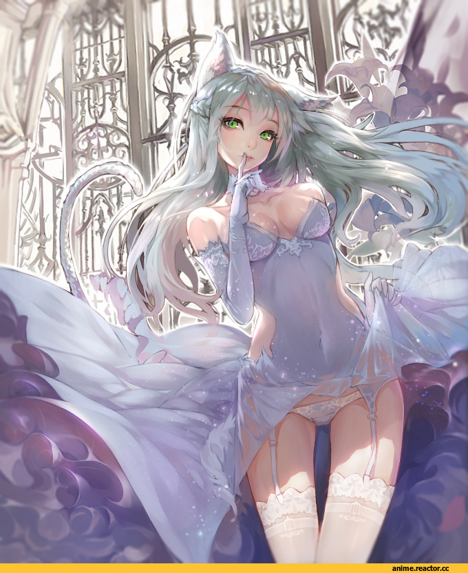 Adult pantsu, Anime Ero, neko, Animal Ears, kokage no shita, Anime