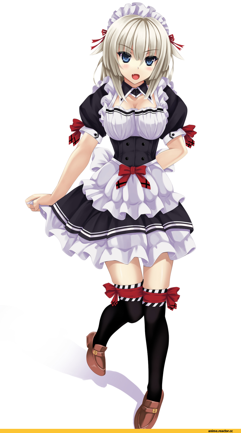 Anime Ero, Anime