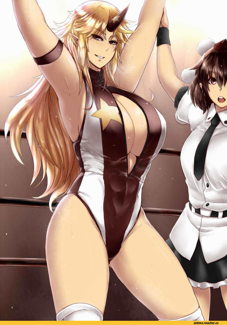 Touhou Project, Hoshiguma Yuugi, Shameimaru Aya, tobisawa, Anime Ero, Anime