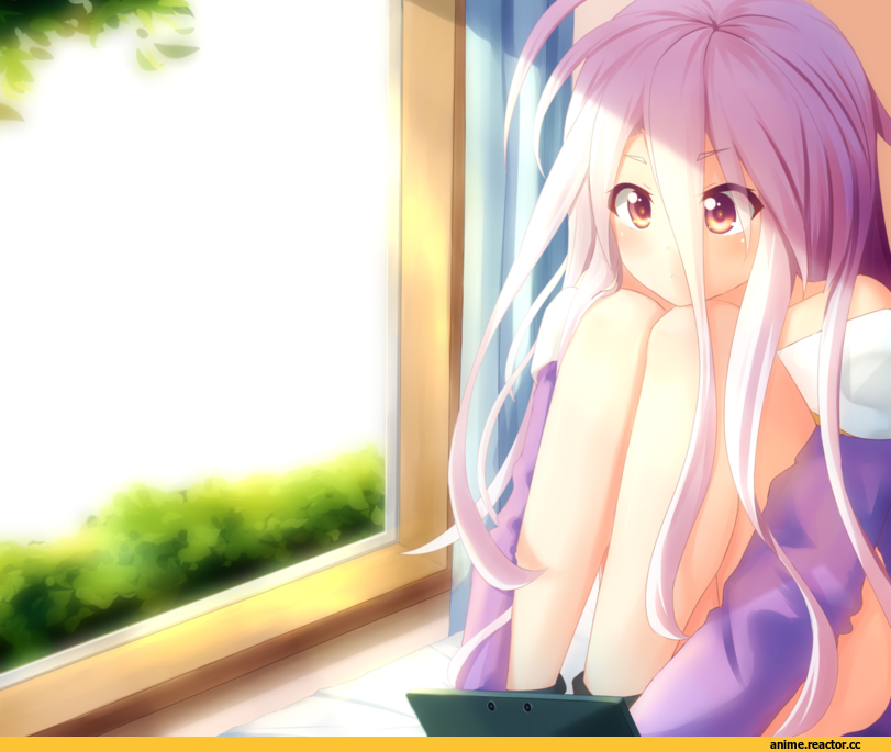 No Game No Life, в коментариях ещё, Anime