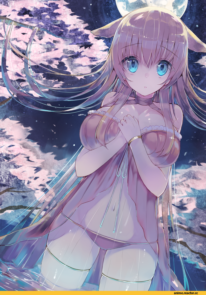 neko, Animal Ears, Anime Ero, Anime Original, Anime Art, Anime