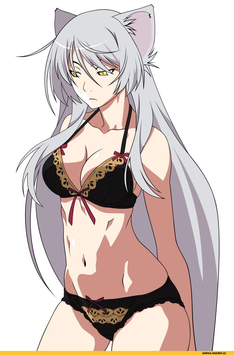Black Hanekawa, Monogatari (Series), Anime Adult pantsu, Anime Ero, хайрез, nekomimi, Animal Ears, Anime