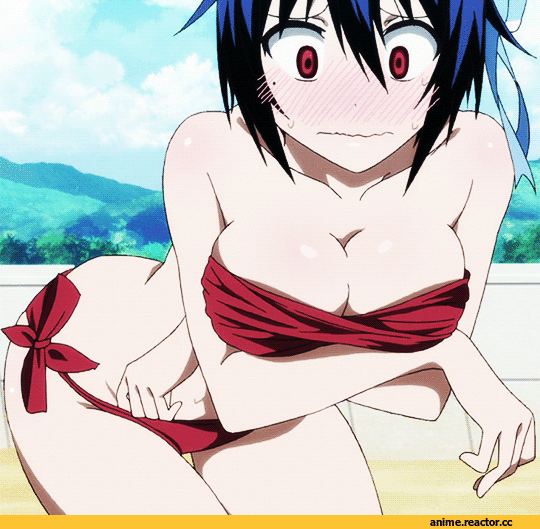 Nisekoi, Tsugumi Seishirou, Anime Ero Gifs, Anime Ero, Anime Ero Swim, Anime