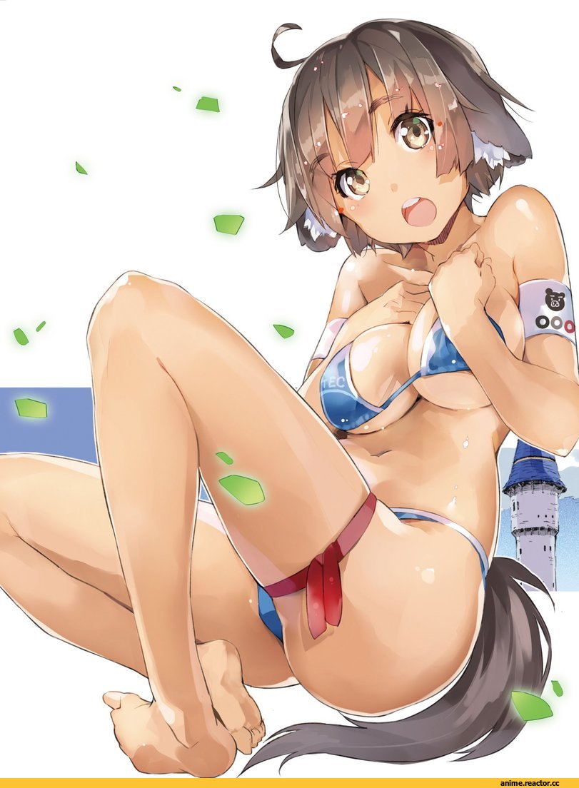 Outbreak Company, Elbia Hanaiman, Anime Art, Anime Ero Swim, Anime Ero, Inumimi, Animal Ears, Anime