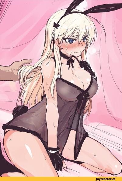 Hanna-Justina Marseille, Strike Witches, Animal Ears, Anime Ero, Anime
