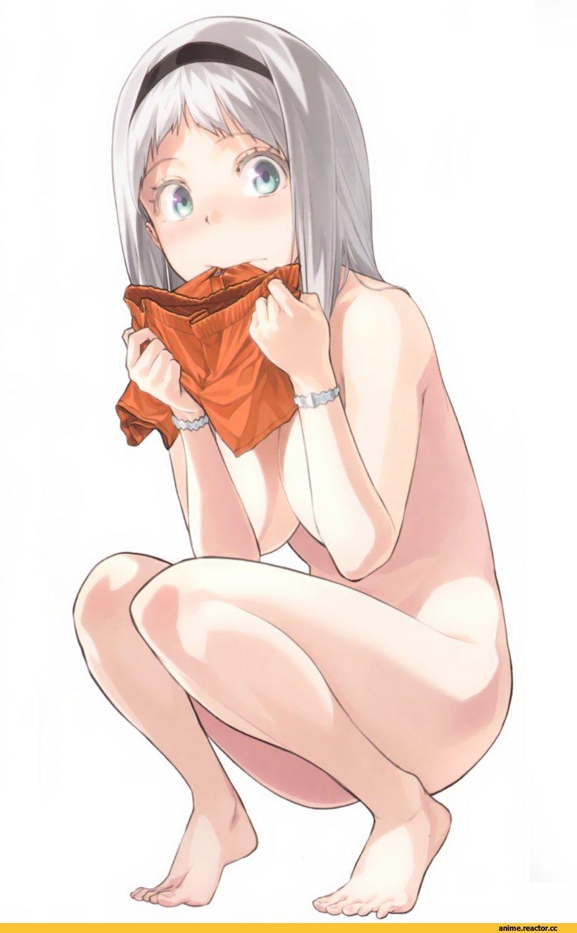 Anime Ero, Shimoneta to Iu Gainen ga Sonzai Shinai Taikutsu na Sekai, Anime