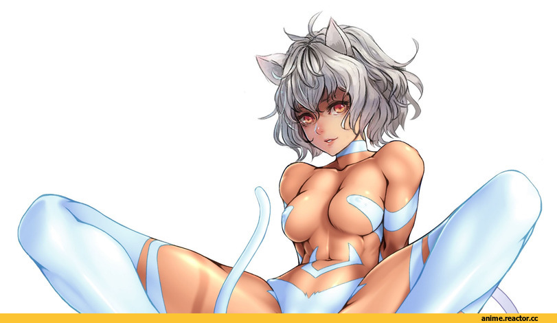 Hunter X Hunter, Nefelpitou, Anime Ero, neko, Animal Ears, Anime