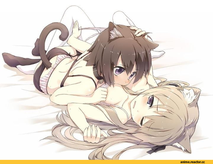 neko, Animal Ears, Anime Ero Yuri, Anime Ero, удалённое, Anime