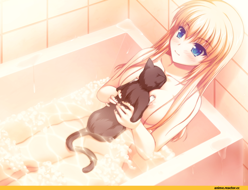 Anime Art, asami asami, Anime Ero, fake azure arcology, line t miller, Foreign VN, Anime