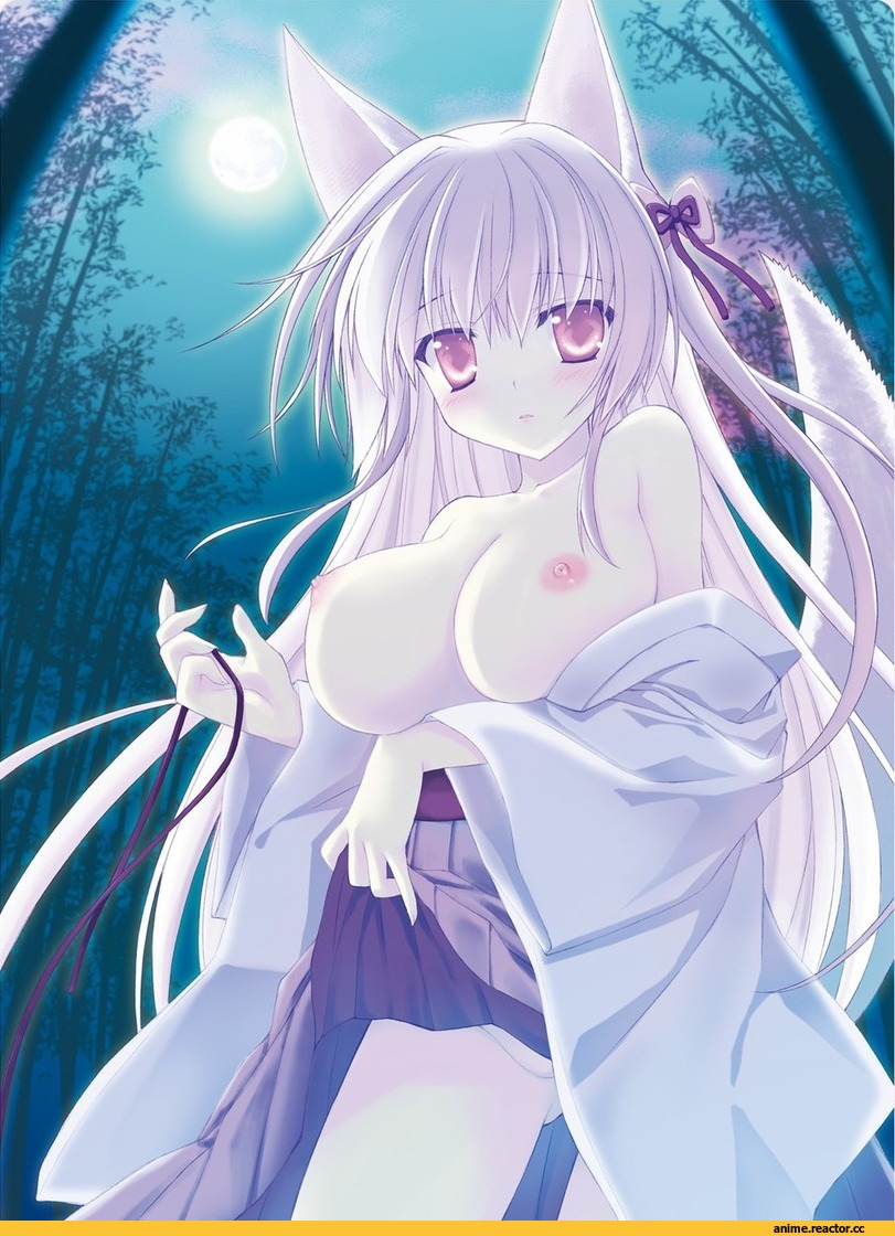 Anime Art, Animal Ears, Anime Ero Oppai, Anime Ero, Kitsune, Anime