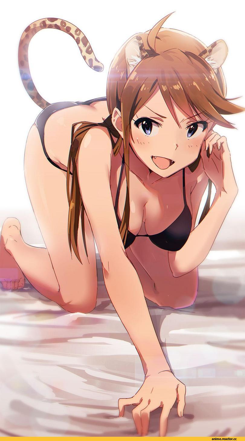 Anime Art, h@ll, Animal Ears, neko, Anime Ero, Anime Adult pantsu, Idolmaster, Tokoro Megumi, Anime