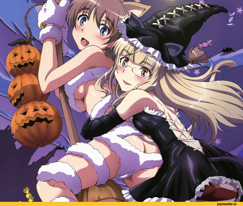 Lynette Bishop, Strike Witches, Perrine H. Clostermann, Animal Ears, Adult pantsu, Anime Ero, Megane, neko, Anime