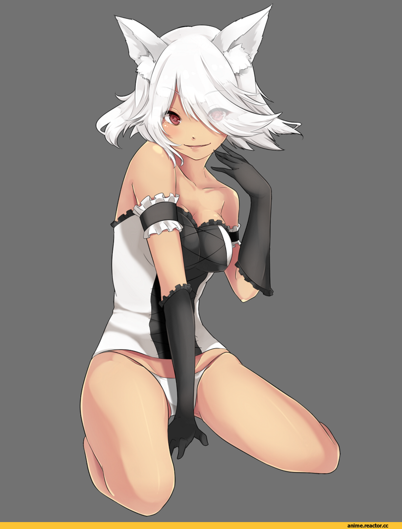 Anime Art, Anime Ero, Adult pantsu, koruta (nekoimo), Animal Ears, Anime