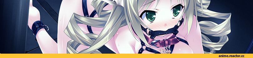 Adult BDSM, Anime Ero, Anime