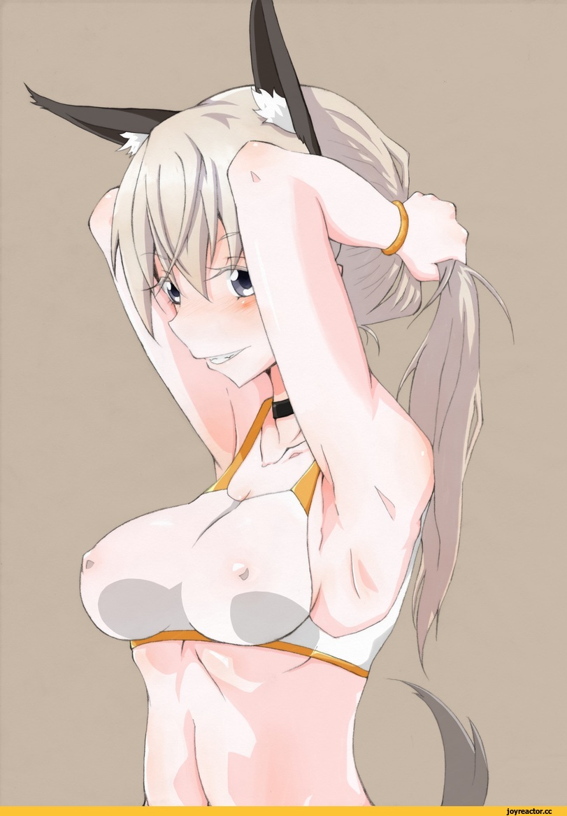 Eila Ilmatar Juutilainen, Strike Witches, nasu (nasubi), Kitsune, Animal Ears, Anime Ero, Anime