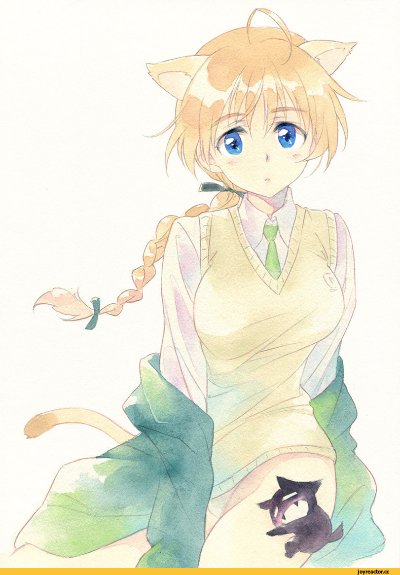Lynette Bishop, Strike Witches, miyafuji yoshika, Adult pantsu, Anime Ero, Animal Ears, neko, Anime