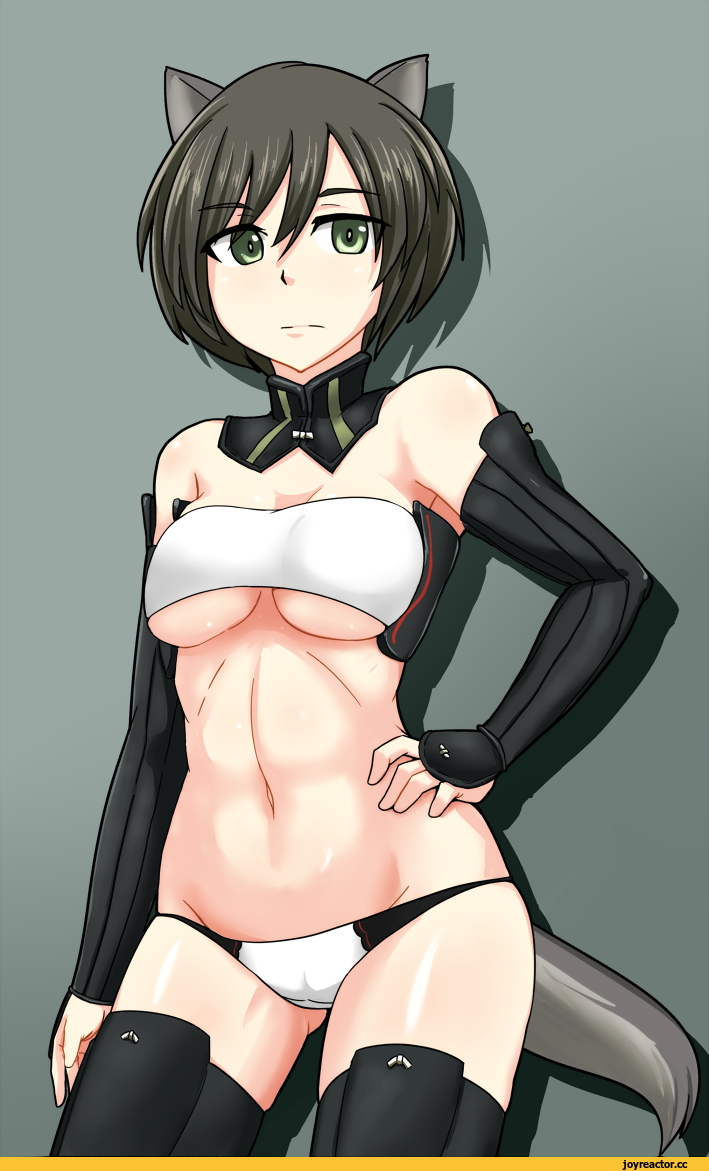 Strike Witches, isami kashida, Adult pantsu, Anime Ero, Animal Ears, Inumimi, Strike Witches (Anime), Anime