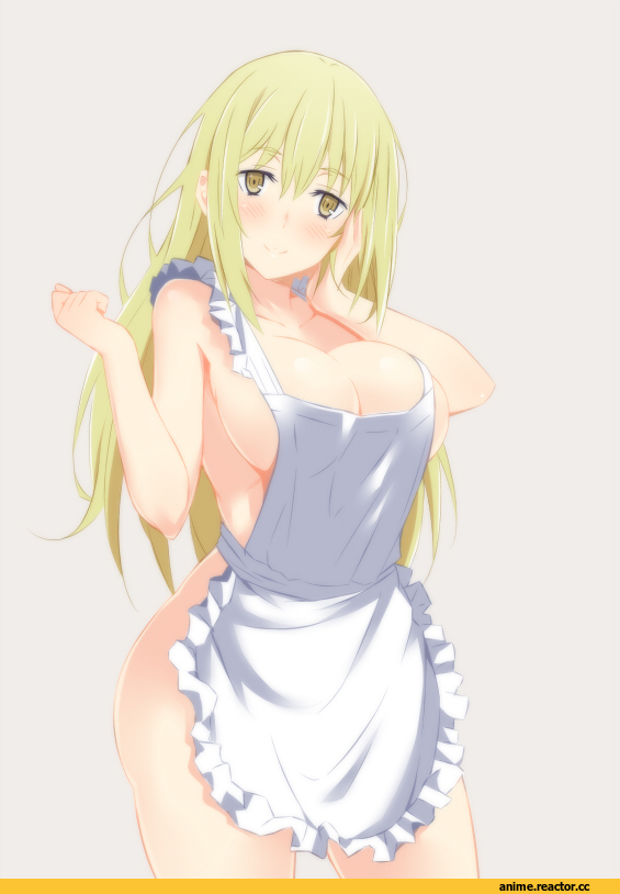 Ais Wallenstein, Danmachi, Anime Ero, akage, Anime