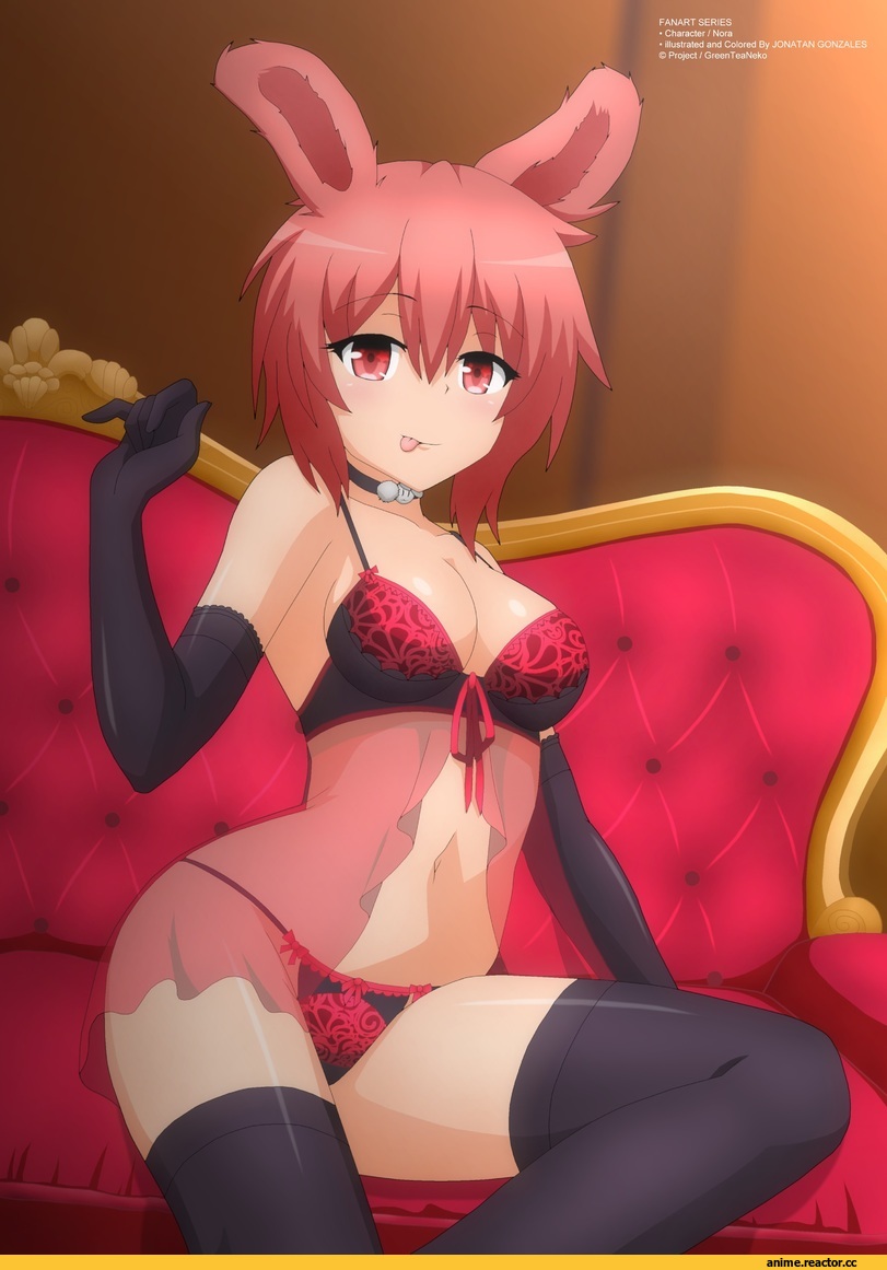 Anime Ero, Animal Ears, nora, Yukino Akaihi, Usagimimi, Adult pantsu, Anime