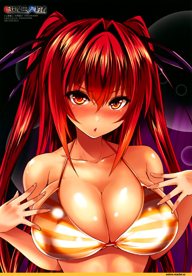 naruse mio, pierre yoshio, Shinmai Maou No Testament, Anime Ero, Anime Ero Swim, Anime