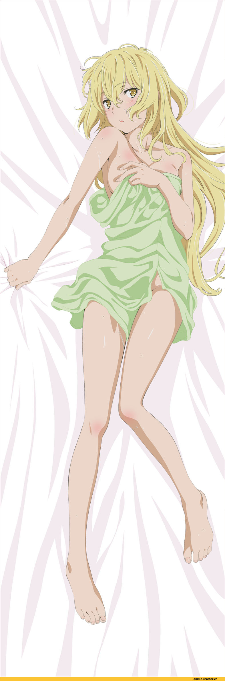 Danmachi, Aiz Wallenstein, Anime Ero, dakimakura, Anime Feet, Anime