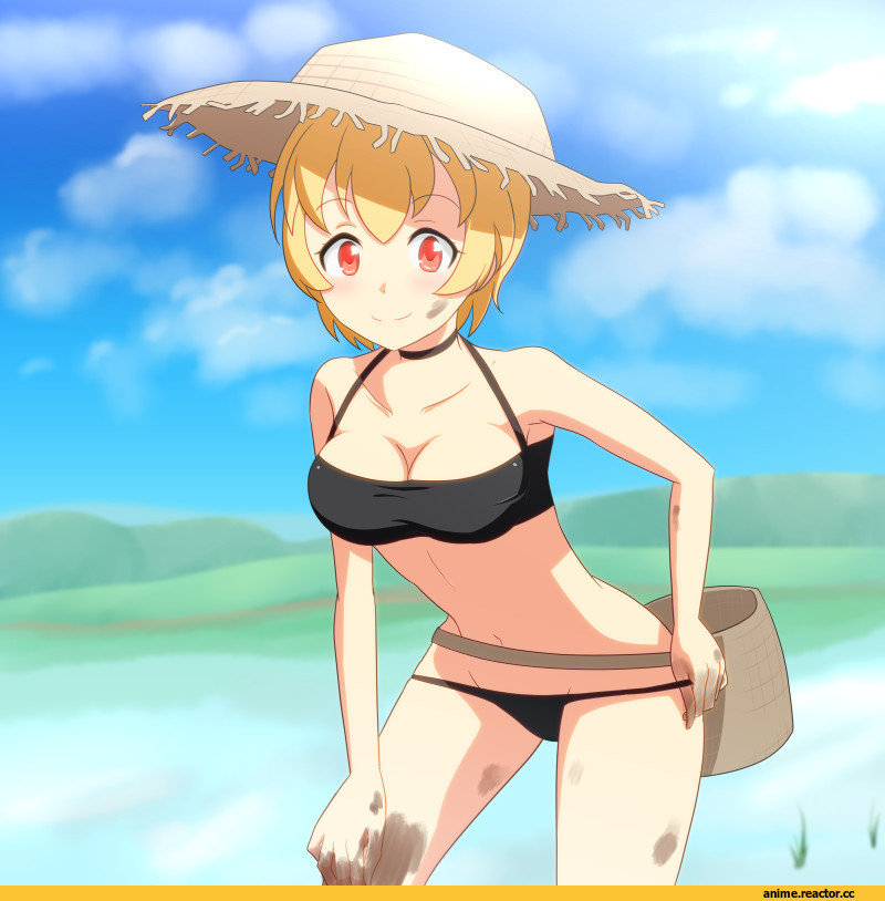 Anime Ero, Anime Ero Swim, cato (monocatienus), Touhou Project, Aki Minoriko, Anime