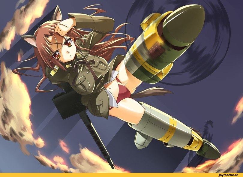 Minna-Dietlinde Wilcke, Strike Witches, Inumimi, Animal Ears, Anime Adult pantsu, Anime Ero, Anime