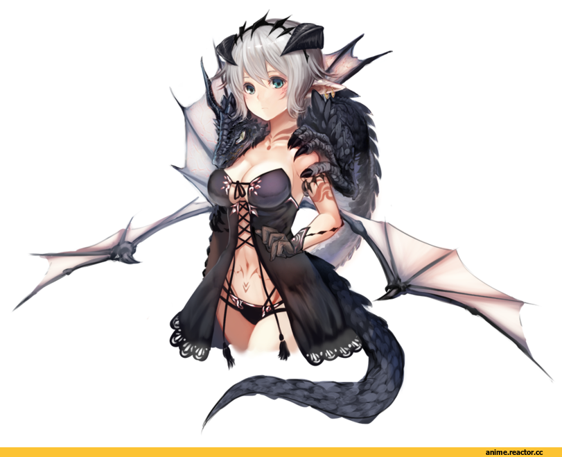 AO, Anime Art, uro (uro zi), Anime Ero, Anime Adult pantsu, Dragon Girl (Anime), Monster Girl (Anime), Anime