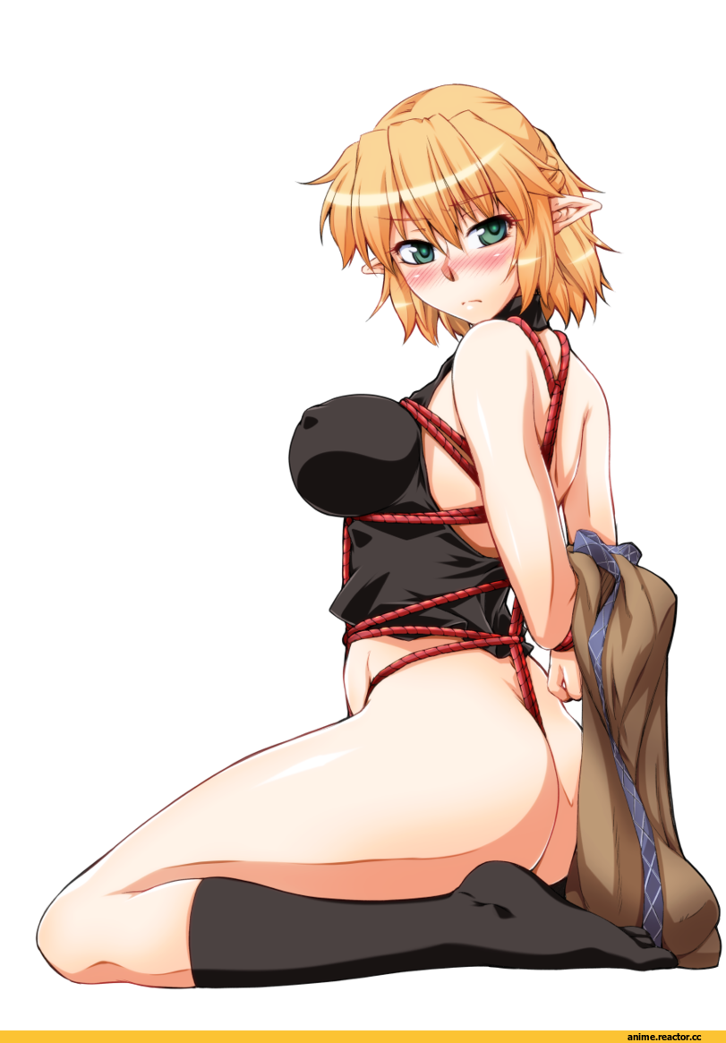 Anime Art, AO, Anime Няши, Опасные Няшки, Няши в броне, Anime Ero, Adult pantsu, nigoro, Anime