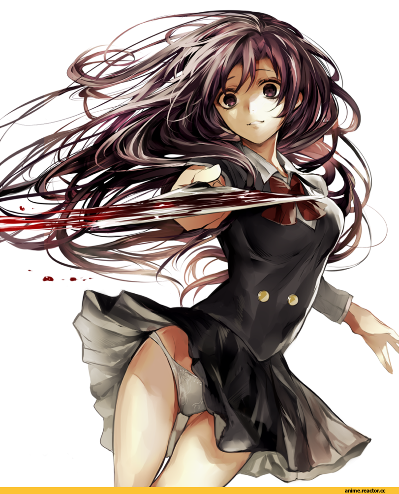 Anime Ero, Adult pantsu, school days, Katsura Kotonoha, tcb, Anime