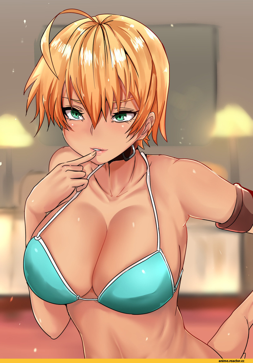 Shokugeki no Soma, Mito Ikumi, Norman Maggot, Anime Ero Swim, Anime Ero, Anime