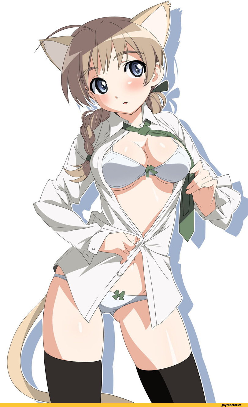 Bismarck (Kantai Collection), Kantai Collection, Prinz Eugen (Kantai Collection), Z1 Leberecht Maass (Kantai Collection), Z3 Max Schultz (Kantai Collection), Anime Art, takakiyo, Adult pantsu, Anime Ero, Anime