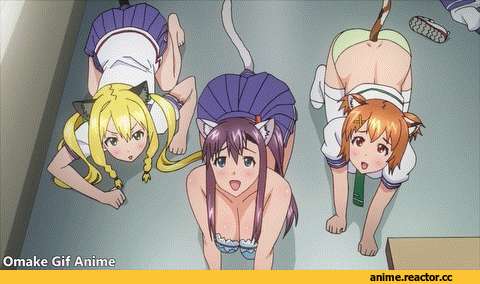 neko, Animal Ears, Anime Adult gifs, Anime Ero, Maken-Ki!, Anime