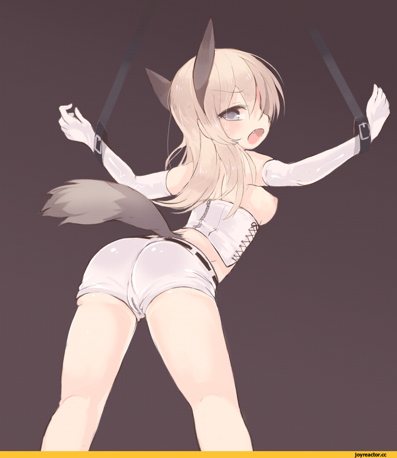 okayu (headless), Eila Ilmatar Juutilainen, Strike Witches, Anime Ero Ass, Anime Ero, Anime Ero Oppai, Kitsunemimi, Animal Ears, Adult BDSM, Anime Ero BDSM, Anime