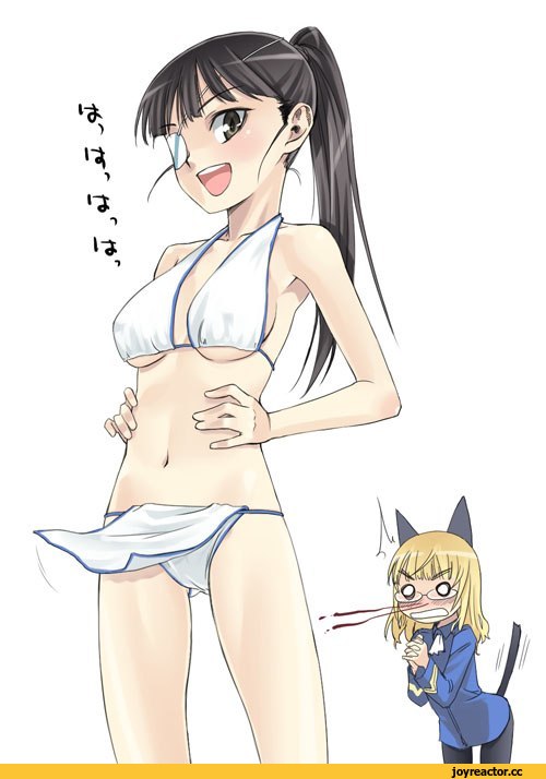 sakamoto mio, Strike Witches, Perrine H. Clostermann, nekomimi, Animal Ears, Anime Ero Swim, Anime Ero, Strike Witches ero, Anime