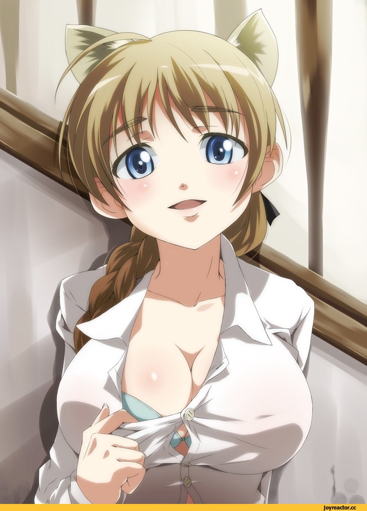 Anime Ero, Lynette Bishop, Strike Witches, nekomimi, Animal Ears, Anime